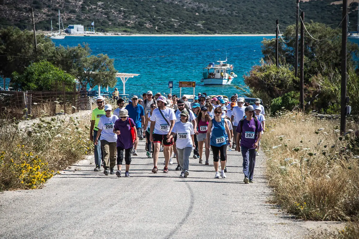 5,5Km Πεζοπορική Διαδρομή | 8ος Αγώνας Αντιπάρου
